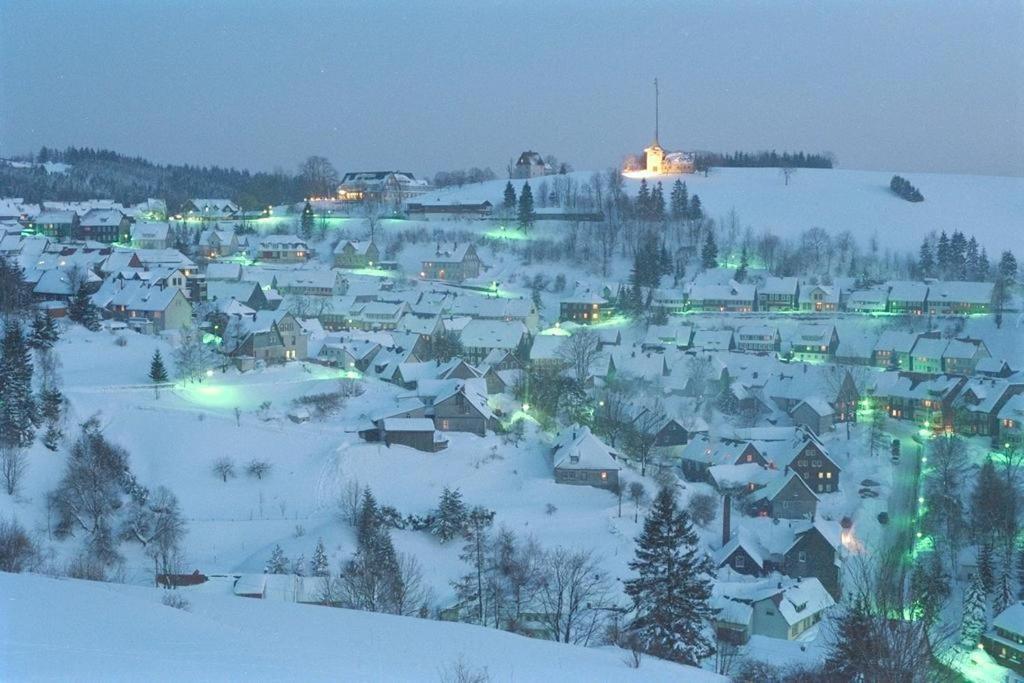 Tolles Schoenes Ferienhaus Mit Grosser Grillterrasse Fuer 12 Personen Im Harz Санкт-Андреасберг Экстерьер фото